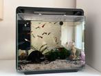 Aquarium Superfish home 40, Ophalen, Gebruikt, Leeg aquarium