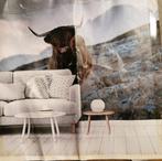 Fotobehang Schotse hooglander op het eiland., Huis en Inrichting, Ophalen of Verzenden, Minder dan 10 m²