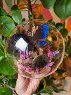 Vlinder in stolp met labradoriet & droogbloemen, Huis en Inrichting, Ophalen of Verzenden