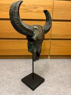 Prachtige Skull , Schedel !, Ophalen of Verzenden, Zo goed als nieuw