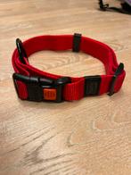 Honden Halsband, Dieren en Toebehoren, Ophalen of Verzenden, Nieuw