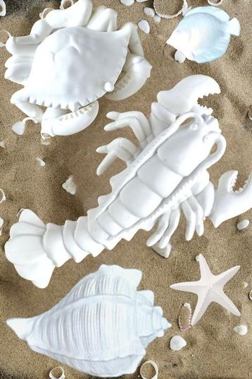 5 delig rivièra maison beach set beschikbaar voor biedingen