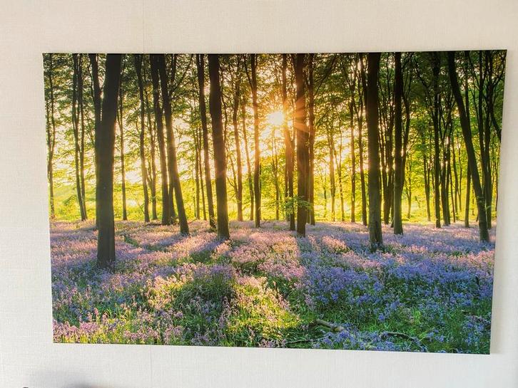Canvas schilderij van een Zonsondergang in het Bos, Huis en Inrichting, Woonaccessoires | Schilderijen, Tekeningen en Foto's, Zo goed als nieuw