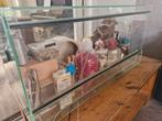 Glazen hok inclusief veel (hamster)spullen, Hamster, Gebruikt, Hok, 75 tot 110 cm