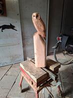 Houten Uil Beeld - Douglas Hout - 60cm, Ophalen