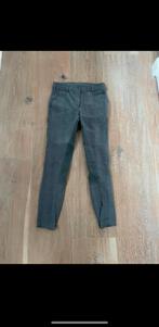 Paardrijbroek grijs Mondoni maat S / 36, Dieren en Toebehoren, Ophalen, Gebruikt, Onderkleding, Dames