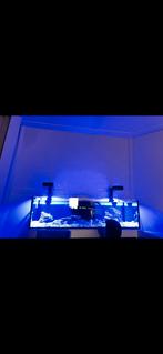 Zee aquarium .Aqua medic lagoon 400, Dieren en Toebehoren, Vissen | Aquaria en Toebehoren, Ophalen, Zo goed als nieuw