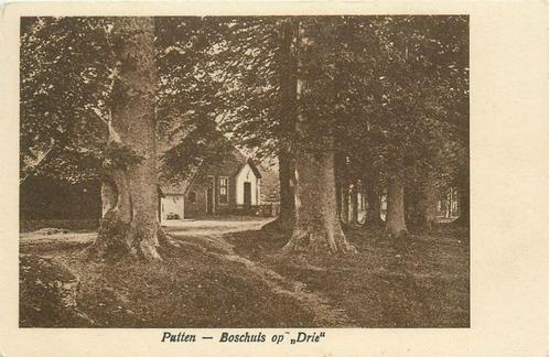 (379-244-003) Putten Boschhuis op Drie, Verzamelen, Ansichtkaarten | Nederland, Gelderland, Verzenden