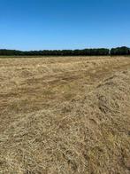 Hooi te koop, Dieren en Toebehoren, Schapen, Geiten en Varkens, Meerdere dieren, Schaap