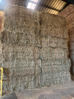 Grof paardenhooi te koop - kruidenhooi, Dieren en Toebehoren, Ophalen, Nieuw, Overige soorten