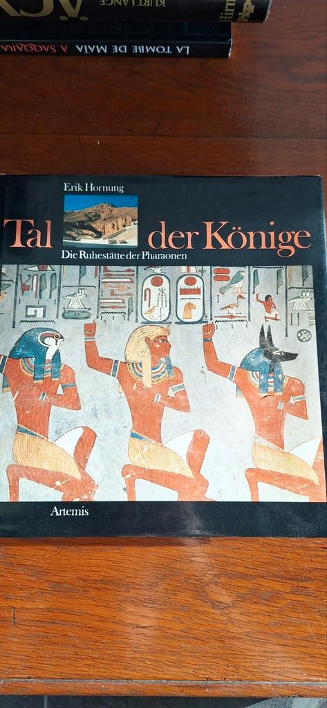 Tal der Könige - Erik Hornung, Boeken, Geschiedenis | Vaderland, Gelezen, 20e eeuw of later, Ophalen of Verzenden