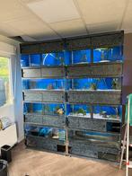 Aquariumstelling, Dieren en Toebehoren, Vissen | Aquaria en Toebehoren, Ophalen, Zo goed als nieuw, Leeg aquarium