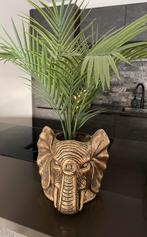 Kuntplant incl. Gouden pot olifant, Ophalen of Verzenden, Zo goed als nieuw