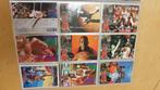 Collectors item boek basketballer plaatjes 1995-1996, Verzamelen, Ophalen of Verzenden, Gebruikt, Overige sporten, Spelerskaart