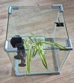 Superfish aquarium met extra's, Ophalen, Zo goed als nieuw, Leeg aquarium