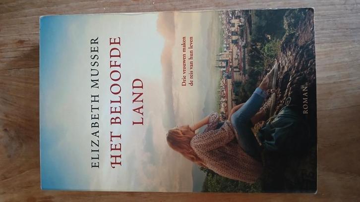 Elizabeth Musser - Het beloofde land, Boeken, Literatuur, Zo goed als nieuw, Nederland, Ophalen of Verzenden
