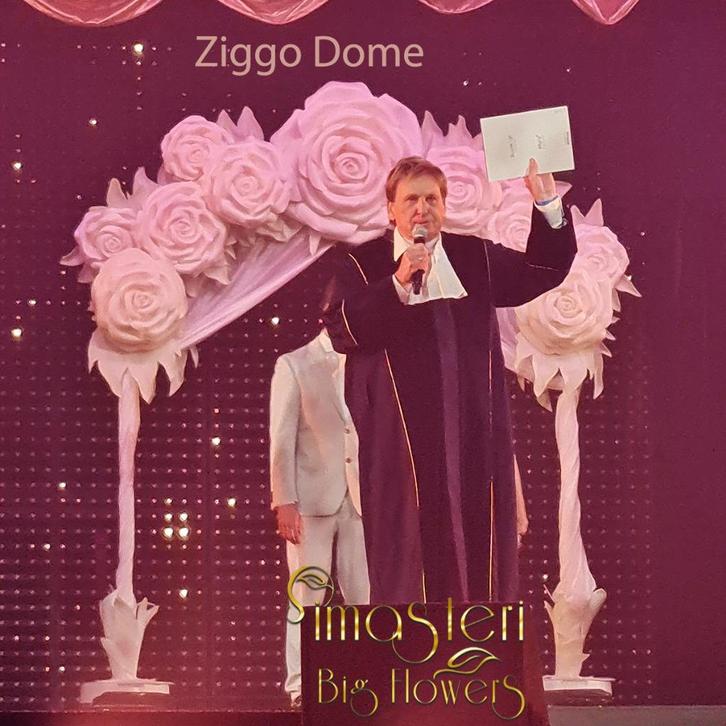 Luxe Handgemaakte Trouwboog, Hobby en Vrije tijd, Feestartikelen, Zo goed als nieuw, Overige typen, Geboorte of Huwelijk, Ophalen