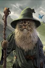 Lord of The Rings: Catdalf - poster, Ophalen of Verzenden, Zo goed als nieuw, A1 t/m A3, Film en Tv