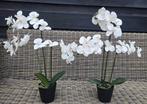 Kunst Orchidee - 62cm Hoog, Overige soorten, In pot, Minder dan 100 cm, Bloeiende kamerplant