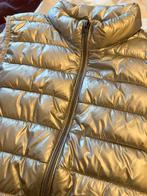 Bodywarmer zilver, Ophalen, Zo goed als nieuw, Maat 38/40 (M)