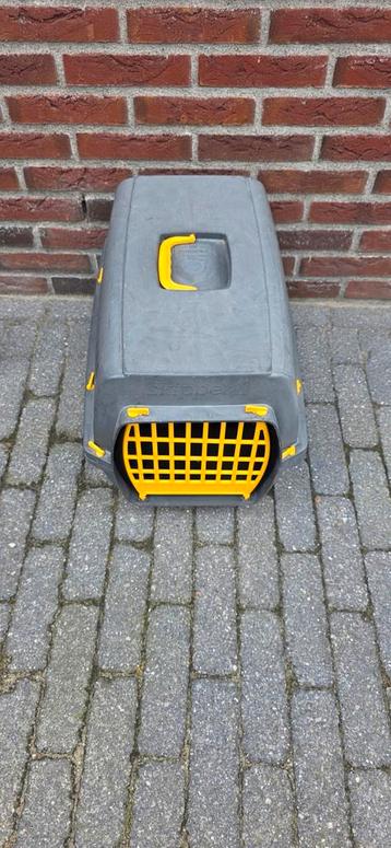Reismand voor kat of kleine hond beschikbaar voor biedingen