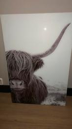 Glas schilderij schotse hooglander, Huis en Inrichting, Woonaccessoires | Schilderijen, Tekeningen en Foto's, Ophalen, Zo goed als nieuw