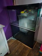 Aquarium, Dieren en Toebehoren, Vissen | Aquaria en Toebehoren, Ophalen, Gebruikt, Leeg aquarium