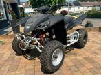Adly 300cc BIEDEN !, Ophalen