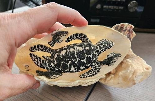 Mooi tafereel zeeschildpad en vis van sepia en oesterschelp, Dieren en Toebehoren, Reptielen en Amfibieën | Toebehoren, Gebruikt