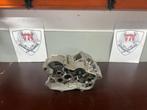 Derbi ot blok origineel 70cc, Derbi, Gebruikt, Blok, Ophalen of Verzenden