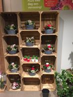 Originele Vintage Fruitkistjes GRATIS bezorging vanaf 10 st, Ophalen, Minder dan 50 cm, Gebruikt, 50 tot 100 cm