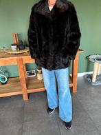 Nerts jas maat 40/42, Lya Murris, Ophalen of Verzenden, Gedragen