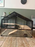 Hamsterkooi, zwart met glas, Dieren en Toebehoren, Knaagdieren en Konijnen | Hokken en Kooien, Ophalen, Minder dan 75 cm, Kooi