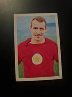 MVV Spelerskaart Harry Heynen 1969/1970, Ophalen of Verzenden, Nieuw, Overige binnenlandse clubs, Spelerskaart