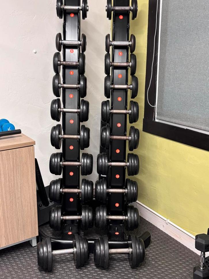 Dumbbell set met rek - 4kg tot 20kg, Sport en Fitness, Fitnessmaterialen, Zo goed als nieuw, Dumbbell, Armen, Ophalen of Verzenden