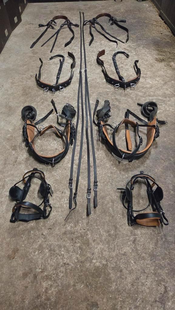 IDEAL compleet marathon tweespan tuig maat cob, Dieren en Toebehoren, Paarden en Pony's | Hoofdstellen en Tuigage, Gebruikt, Overige soorten