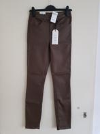 Broek voor dames -- maat S / 36 -- Miss Etam (nieuw!), Nieuw, Ophalen of Verzenden, Maat 36 (S), Miss Etam