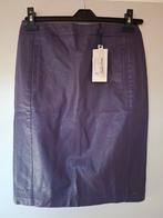 Nieuwe paarse rok, 36, Cadadia, Kleding | Dames, Paars, Nieuw, Ophalen of Verzenden, Knielengte