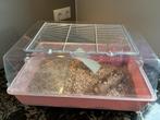 Leuke hamsterkooi voor een dwerghamster te koop, Minder dan 60 cm, Gebruikt, Minder dan 75 cm, Ophalen of Verzenden