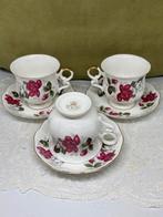 Kop en schotel Royal Ascott Wild Rose (170423), Huis en Inrichting, Keuken | Servies, Gebruikt, Ophalen of Verzenden, Overige stijlen