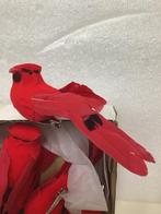 11 Rode Vogeltjes met Knijper, Ophalen of Verzenden, Nieuw
