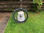 tk:Achterwiel 28 inch 3 NEXUS versnellingen terugtraprem, Fietsen en Brommers, Fietsonderdelen, Wiel, Gebruikt, Shimano Nexus