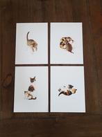 Prenten / posters 4 Franciens katten. Francien van Westering, Ophalen of Verzenden, Nieuw