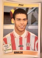 Panini voetbal 95
PSV
Ronaldo 
nr 78, Verzamelen, Sportartikelen en Voetbal, Ophalen of Verzenden, Zo goed als nieuw, PSV, Poster, Plaatje of Sticker