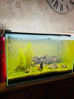 Aquarium 150 liter 45x75x45 maat, Dieren en Toebehoren, Vissen | Aquaria en Toebehoren, Ophalen of Verzenden, Zo goed als nieuw