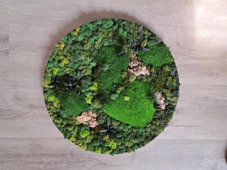 mosschilderij rond 50 cm, Huis en Inrichting, Woonaccessoires | Wanddecoraties, Nieuw, Ophalen