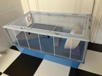 Mooie rattenkooi hamsterkooi compleet. Zie alle foto’s.    beschikbaar voor biedingen