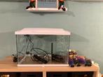 Superfish start 70 aquarium wit. Met veel toebehoren, Dieren en Toebehoren, Vissen | Aquaria en Toebehoren, Ophalen of Verzenden