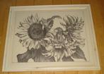 Annie M. Dommering, zonnebloemen, litho, gesigneerd, Antiek en Kunst, Kunst | Litho's en Zeefdrukken, Ophalen of Verzenden