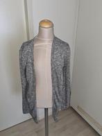 mooi vestje maat 164  *k6*, Ophalen of Verzenden, Gebruikt, Meisje, Trui of Vest